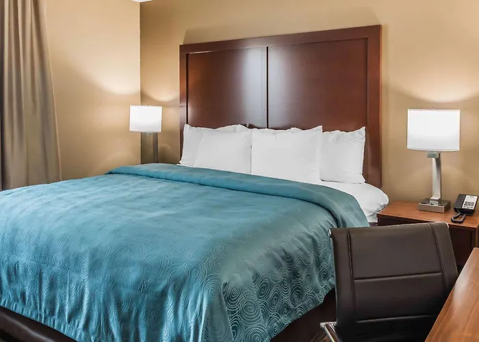 Mainstay Suites Edinburg South